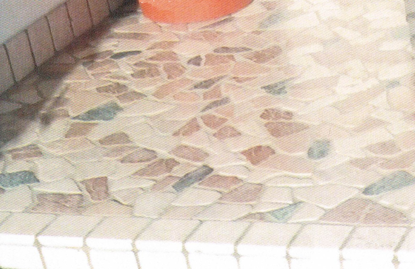 Pavimento per marciapiede e passo carraio